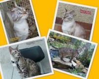 /album/%e2%99%a5-%e2%99%a5-%e2%99%a5/dokumenty-jpg/