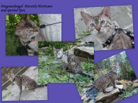 /album/%e2%99%a5-%e2%99%a5-%e2%99%a5/a1441357-586415978061628-828477841-n-jpg/